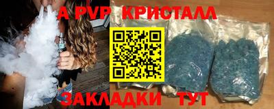 шишки Лесной