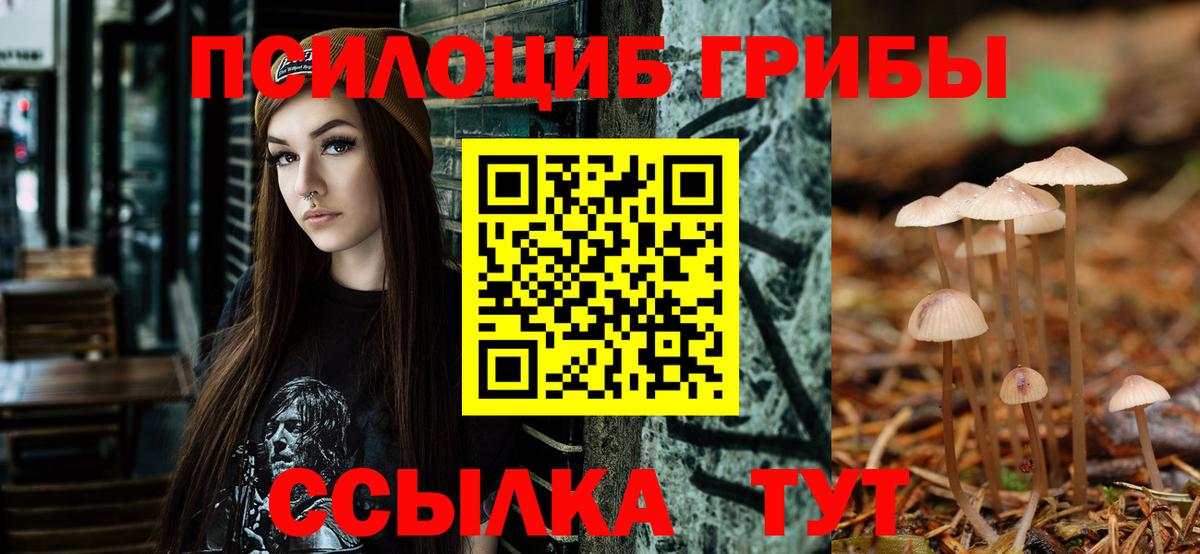 Псилоцибиновые грибы ЛСД Звенигород
